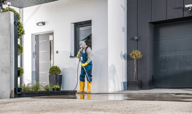 Best Dumpster Area Cleaning  in East Hills, NY